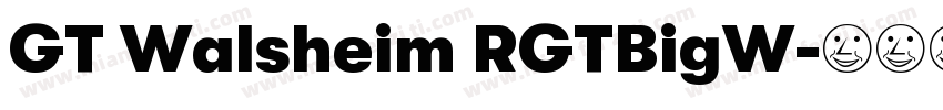 GT Walsheim RGTBigW字体转换